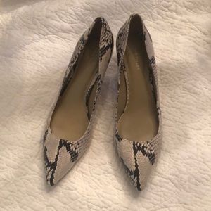 Ann Taylor Animal Print Pumps, Size 9 🎊🎉